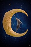 And the moon is made of cheese....